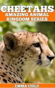 CHEETAHS: Fun Facts and Amazing Photos of Animals in Nature (Amazing Animal Kingdom Book 9)